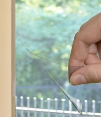 window film