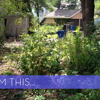 House with overgrown garden with trailer in front yard.