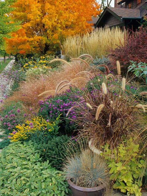 10 Incredibly Inspiring Fall Flower Gardens