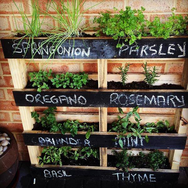 22 Creative Herb Garden Ideas