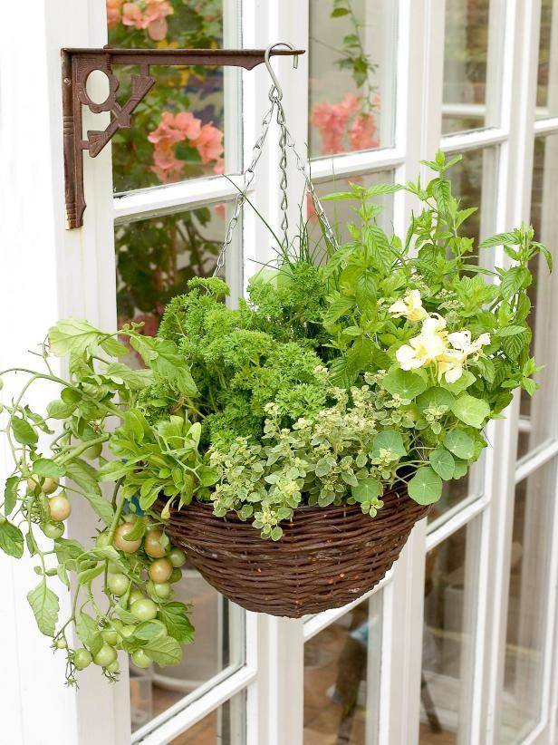 22 Creative Herb Garden Ideas