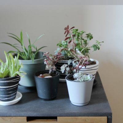 Upgrade your rental apartment without ticking off your landlord!