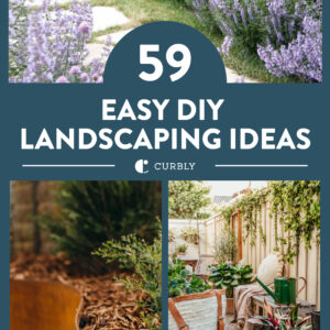 diy landscaping ideas