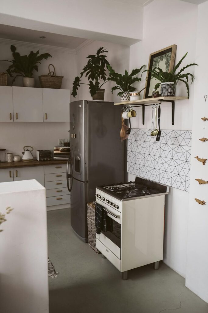 A stylish kitchen featuring a sleek refrigerator, stove, and greenery for a modern touch.